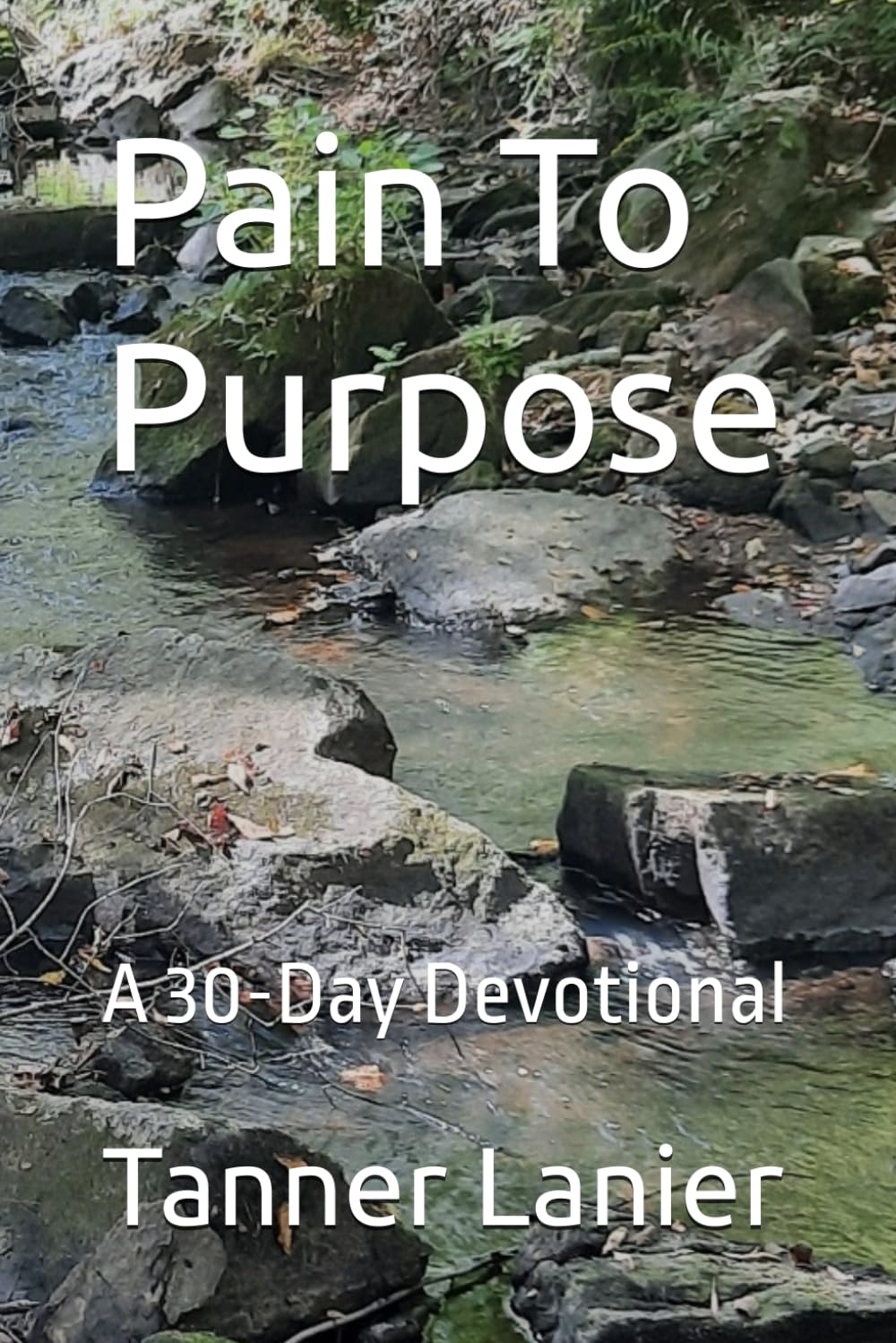 Pain To Purpose: A 30-Day Devotional