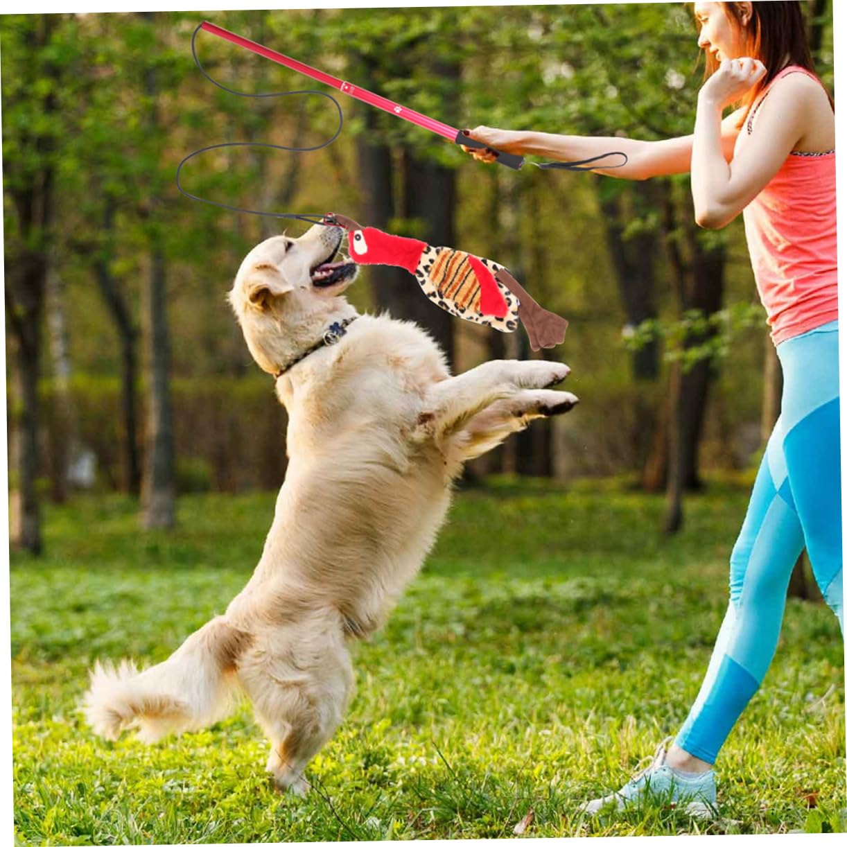 1set Stick Teaser Per Cani e Gatti Gioco Interattivo Per Addestramento Domestico Stimola La Curiosità e Gioco Per Famiglie Con Animali Domestici