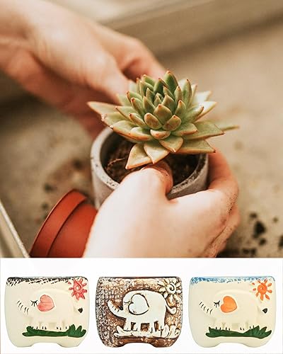 Miniatura 6 de Macetas de elefante con orificio de drenaje, bonitas macetas para suculentas, macetas para decoración del hogar, interior y exterior, jardín
