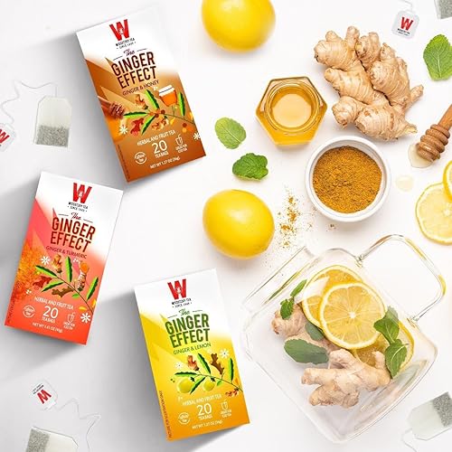Wissotzky Té de jengibre y miel, 20 bolsas Sin cafeína Té de hierbas y frutas Té efecto jengibre Rico en antioxidantes
