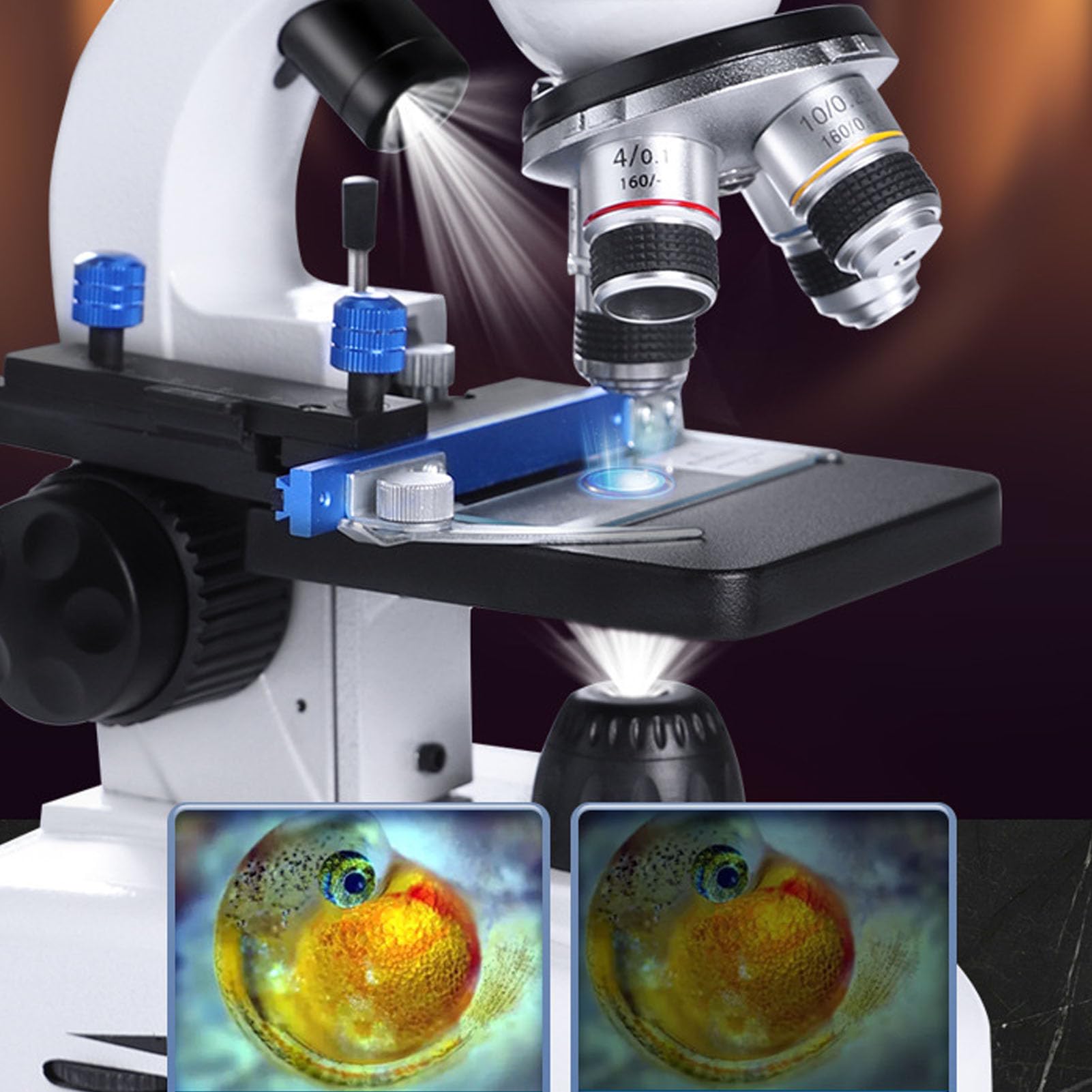 Microscopio Binocular, Microscopio Profesional con Aumento de 40X a 5000X con Perillas de Enfoque Fino, Iluminación LED, para Pruebas Bioquímicas (Enchufe de la UE)