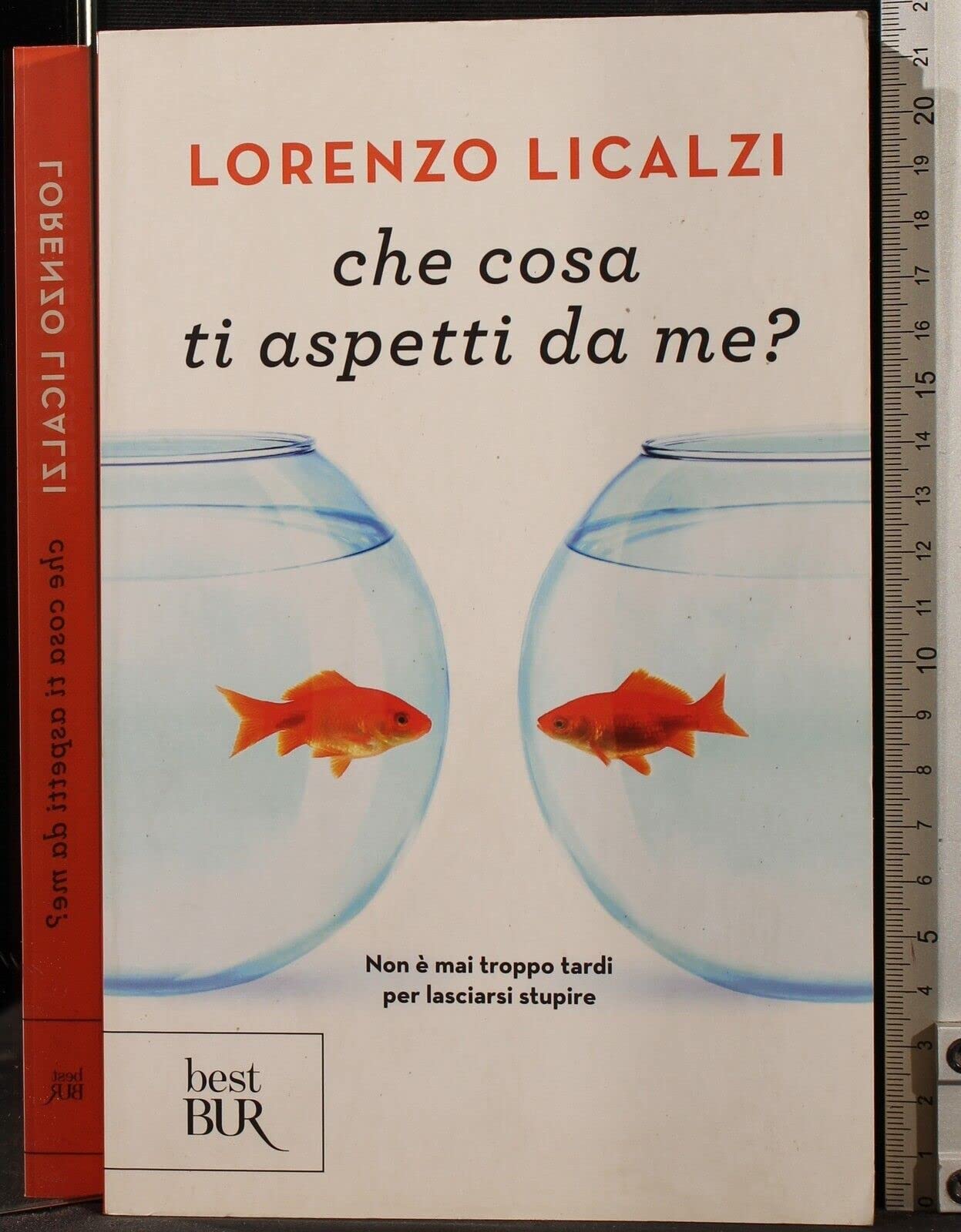Che cosa ti aspetti da me?