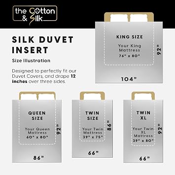 THE COTTON & SILK Mulberry Silk Comforter for All Seasons - Twin Size | 100% Mulberry Silk Filled Comforter, Luxury, Ultra Soft, Breathable, Naturally Body-Hugging Silk Duvet Insert/Bedding Blanket
