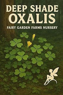 Large 6" Potted Oxalis Redwood Sorrel Plant, Large Size, Live Indoor/Outdoor Shamrock Clover 4-7 Plants per Pot