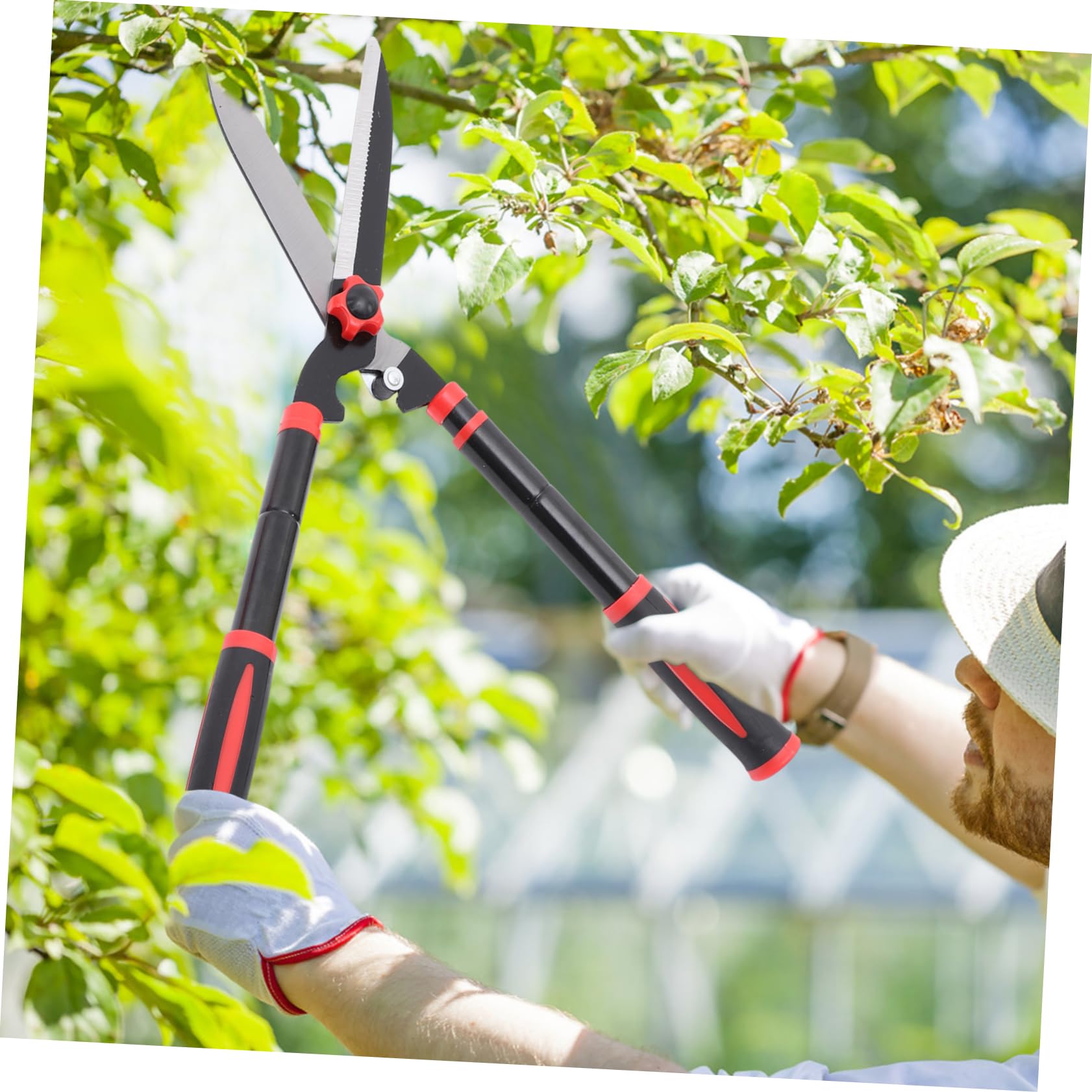 ifundom Cesoi Per Siepi Manuali Attrezzi Da Giardinaggio in Acciaio Impugnature Ergonomiche in Gomma Antiscivolo Cesoie Da Giardino Per Potatura Arbusti e Piante Ornamentali