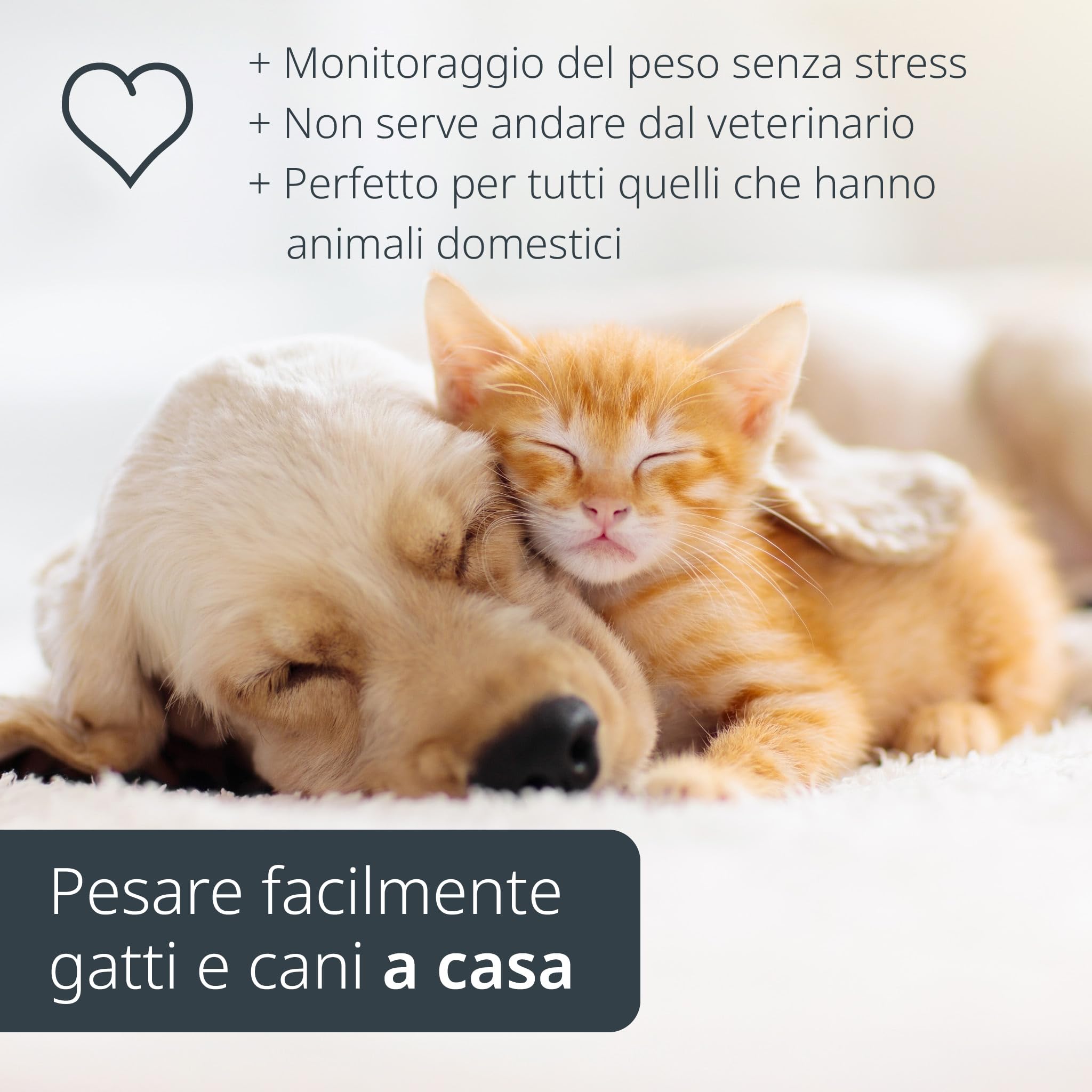 ADE Bilancia digitale per animali fino a 75 kg, bilancia per cani con gradini da 50 g, per animali domestici di piccole e medie dimensioni, superficie adatta alle zampe, anche come bilancia per gatti