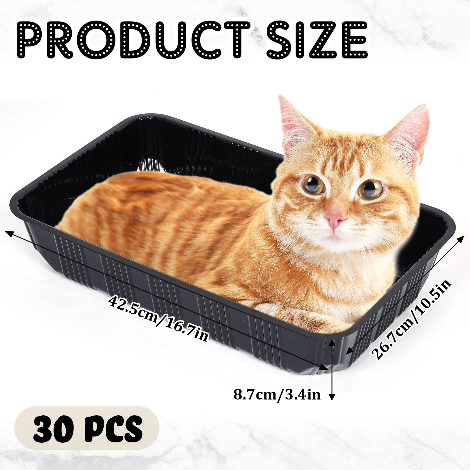 https://m.media-amazon.com/images/I/710MaYVVXPL.jpg