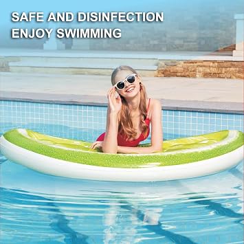 Salt Water Pool Chlorinator System/Salt System Salt Water Chlorator/Saltwater Pool Test Kit for 40-85 M³ Swimming Pool,16 [Energy Class A]