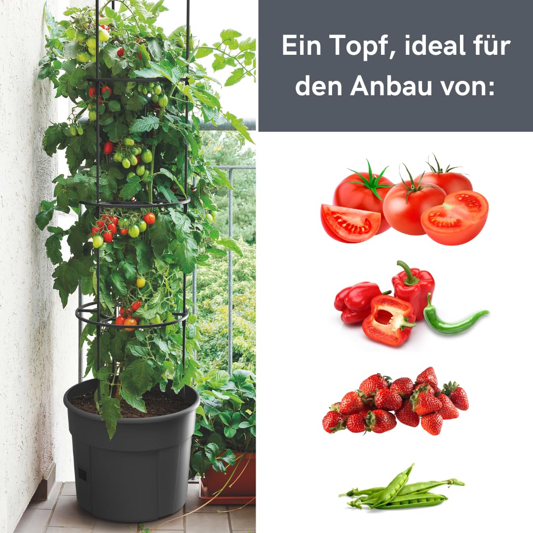 FORTENA 4X Tomatenzuchttopf für Balkon Garten Tomatentopf Tomatenzucht Tomatenkübel 28L