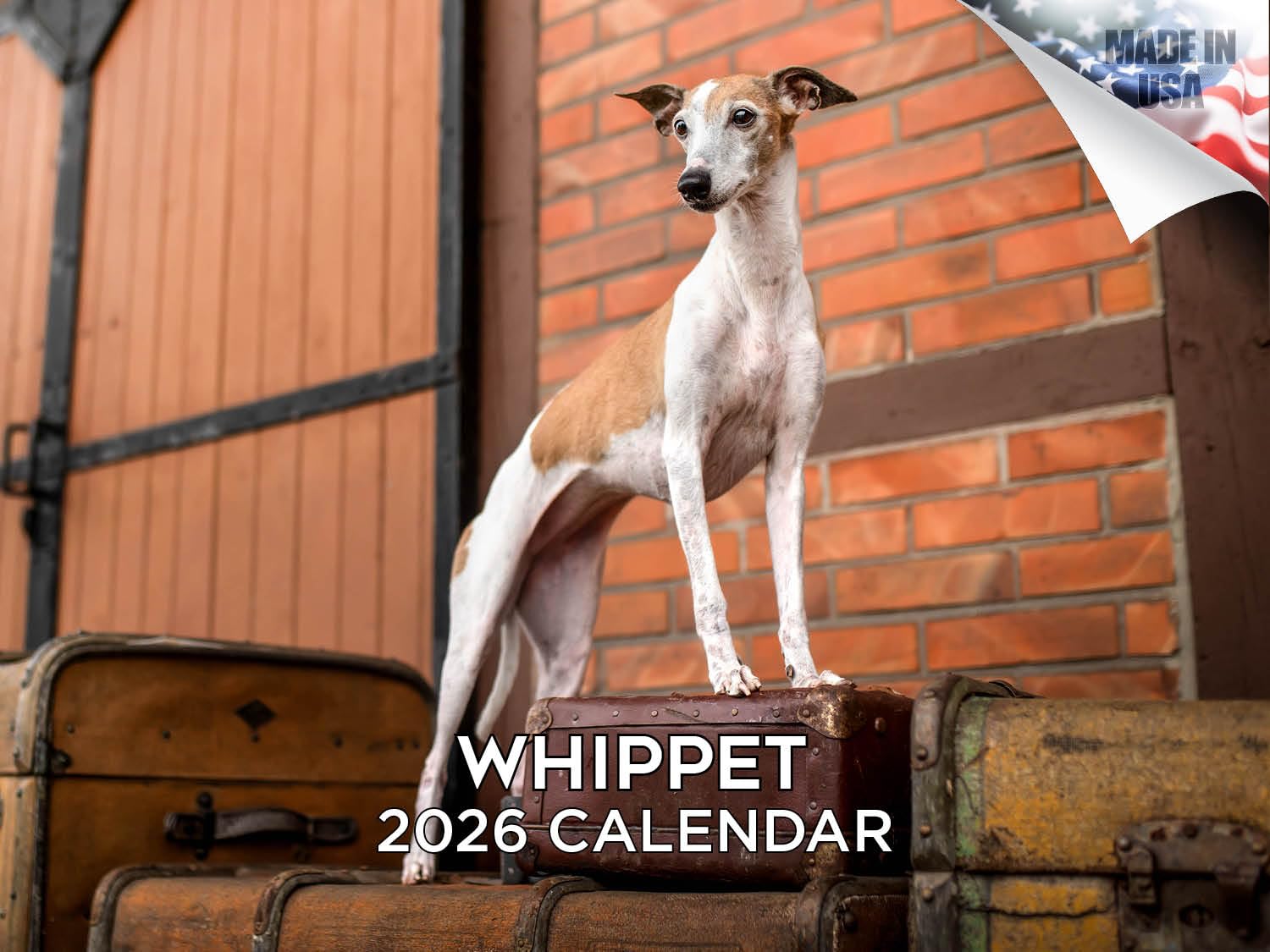 2024 2025 Whippet Calendar - Dog Breed Monthly Wall Calendar - 12 x 18 Open - Thick No-Bleed Paper - Giftable - Academic Teacher's Planner Calendar Organizing & Planning - Made in USA