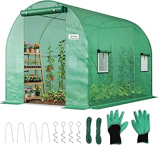 Sekey Gewächshaus Winterfest Foliengewächshaus verzinkt 3x2x2m - 6m² Folientunnel Stabil mit 2m Stehhöhe, Treibhaus, Tomatenhaus inkl. 2 Türen & 4 Fenster & Profi-Fixierungs-Set, 140g/m² PE-Folie