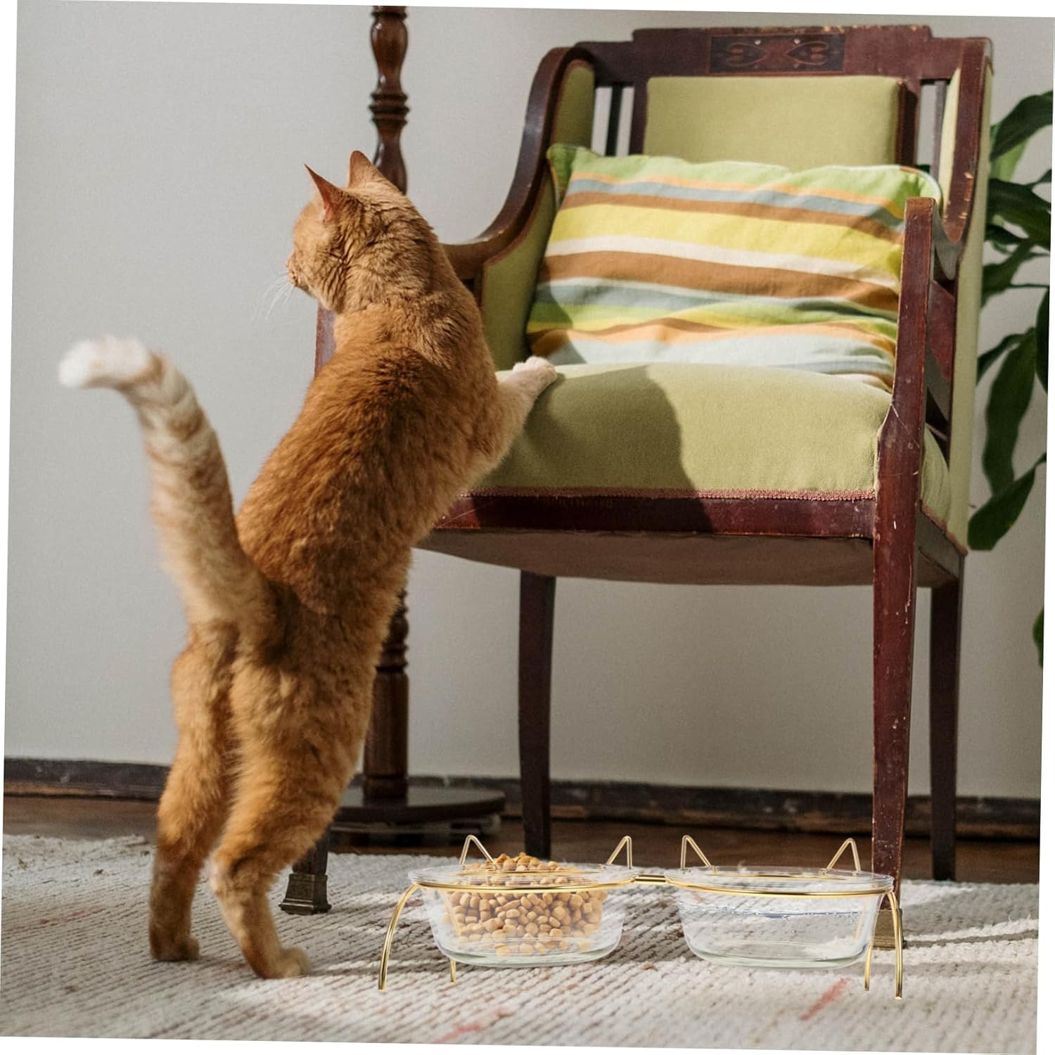 Kisangel Elevated Cat Bowl High Base for Easy Feeding and Drinking Reduces Cat Dining Needs