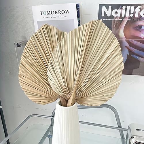 Miniatura 4 de Total de 119 piezas10 decoraciones de hierba de las pampas secas, flor artificial champán, cola de conejo, flores secas de junco, hierba de pompass