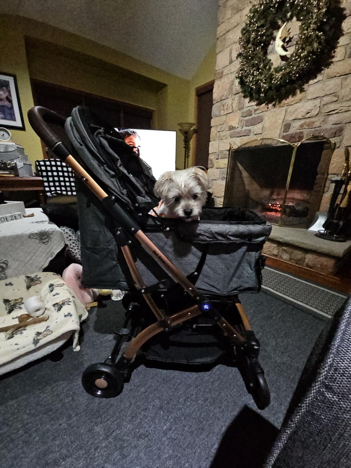 Love how compact & light, sturdy ride!