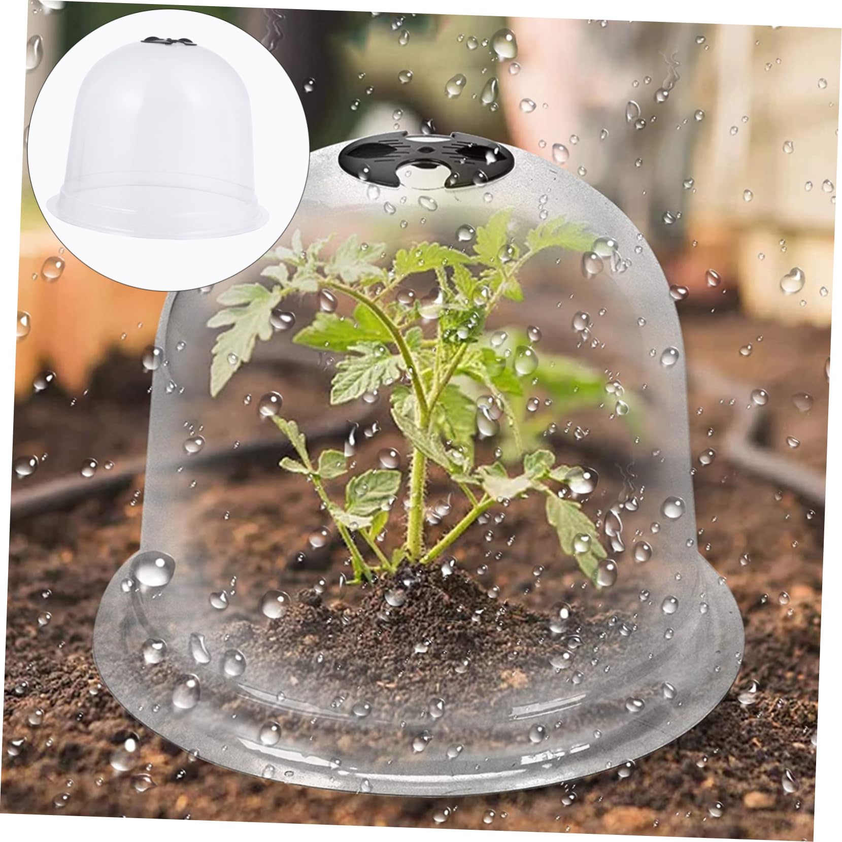 6pièces Cloche De Protection pour Plantes Cloches Plastique Étiquettes Et Piquets De Fixation pour La Chaleur Et Humidité des Semis