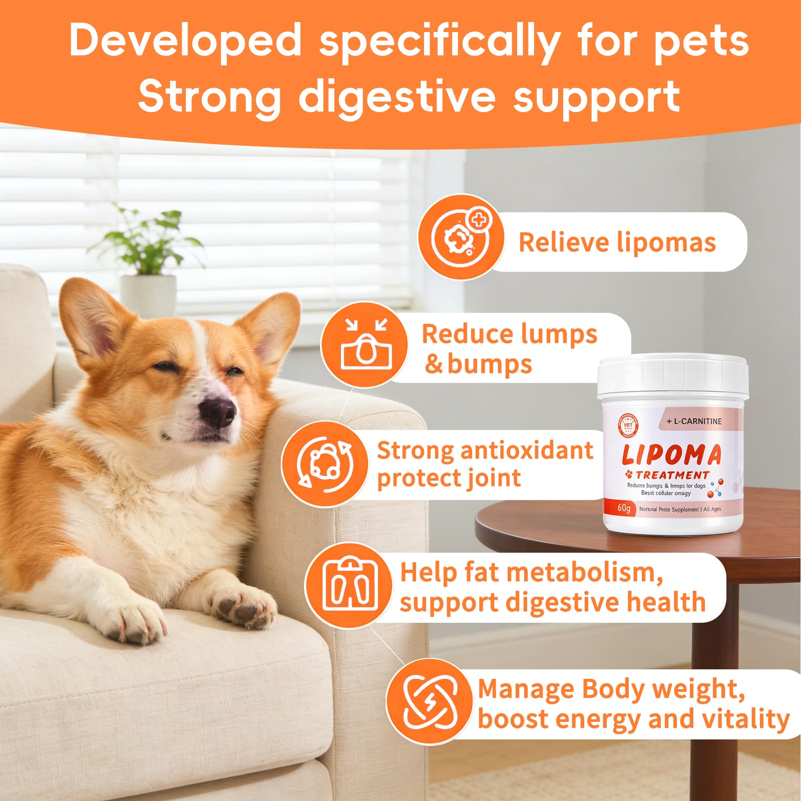 Amazon.com : Lipoma Treatment for Dogs, 10% L-Carnitine Reduces Fatty Lumps  and Bumps, Vet-Formulated Natural Pet Supplement Boost Energy & Vitality,  Immune and Blood Support, Promotes Overall Wellness, 60g : Pet Supplies