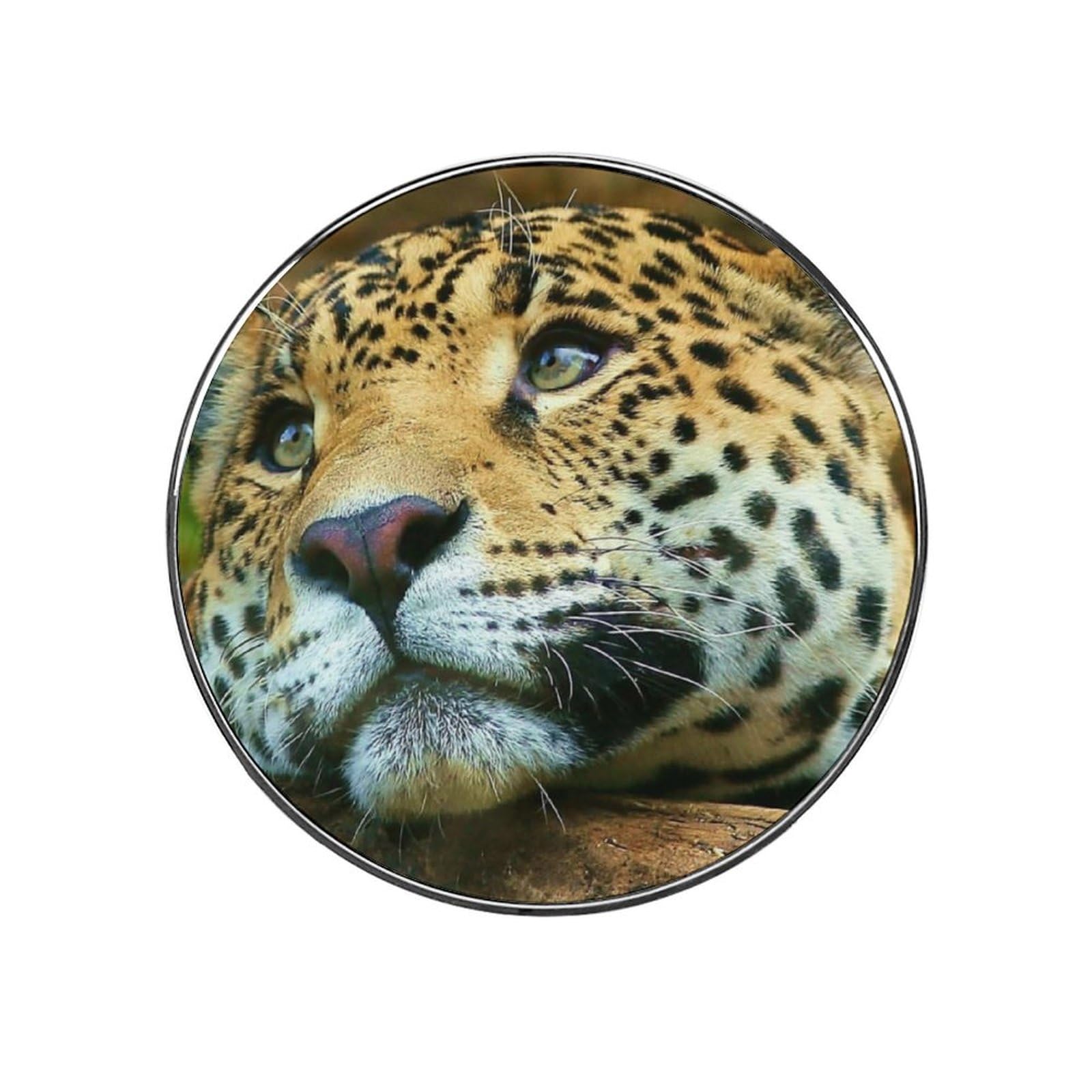 Cute Leopard Magnets For Fridge Kitchen Decoration For Refrigerators Whiteboards