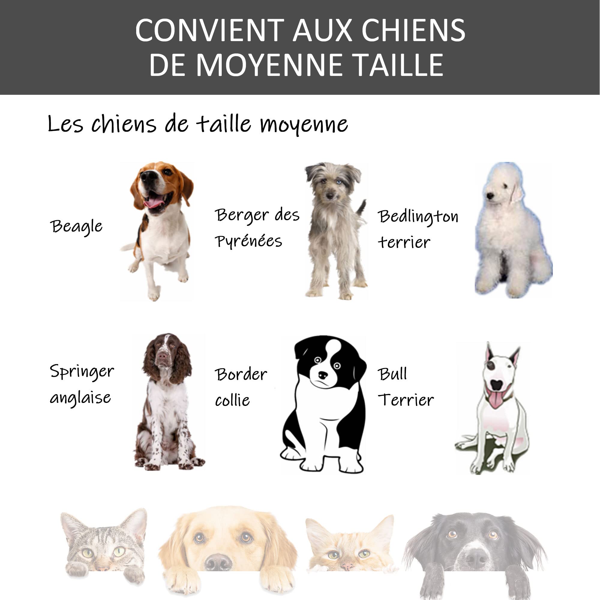 PawHut Cage pour Chien Pliable sur Roulettes 2 Portes Verrouillables Plateau Amovible 94x58x69,5 cm Métal Gris Noir