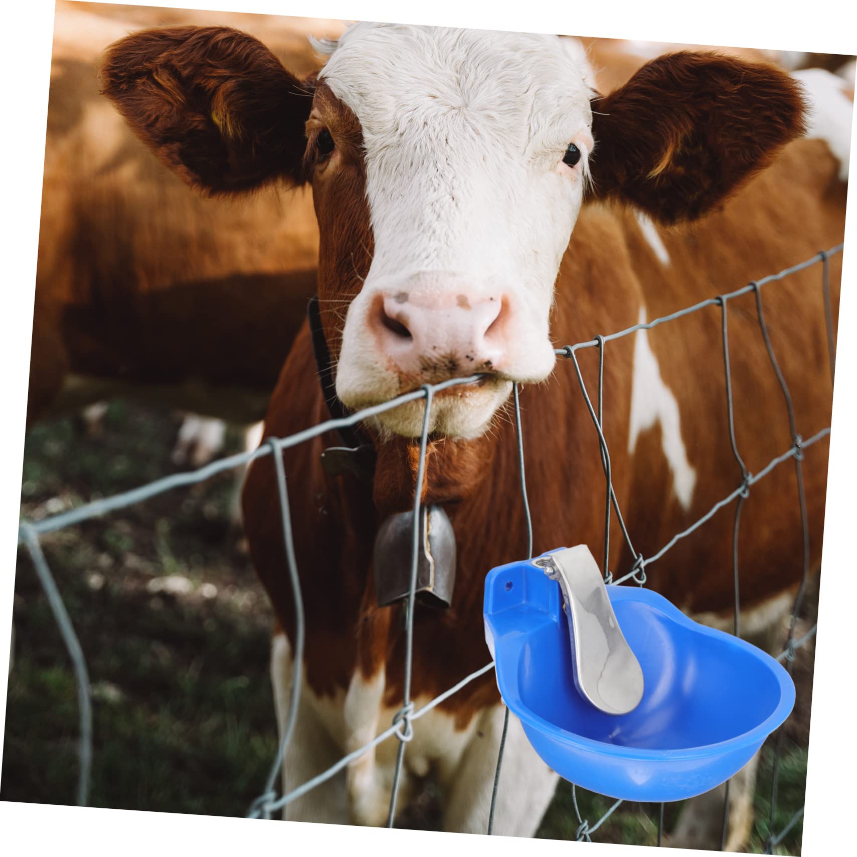 Bebedero Automático para Vacas y Ovejas, Acero Inoxidable, Azul