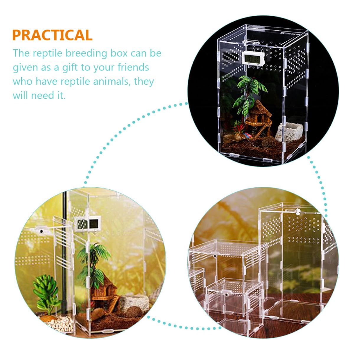BETOOKY Reptilienzuchtbox als Terrarium Zubehör Transparente Acryl mit Konstantem Luftstrom und Magnetischem Stecksystem für Schnecken und Grillen