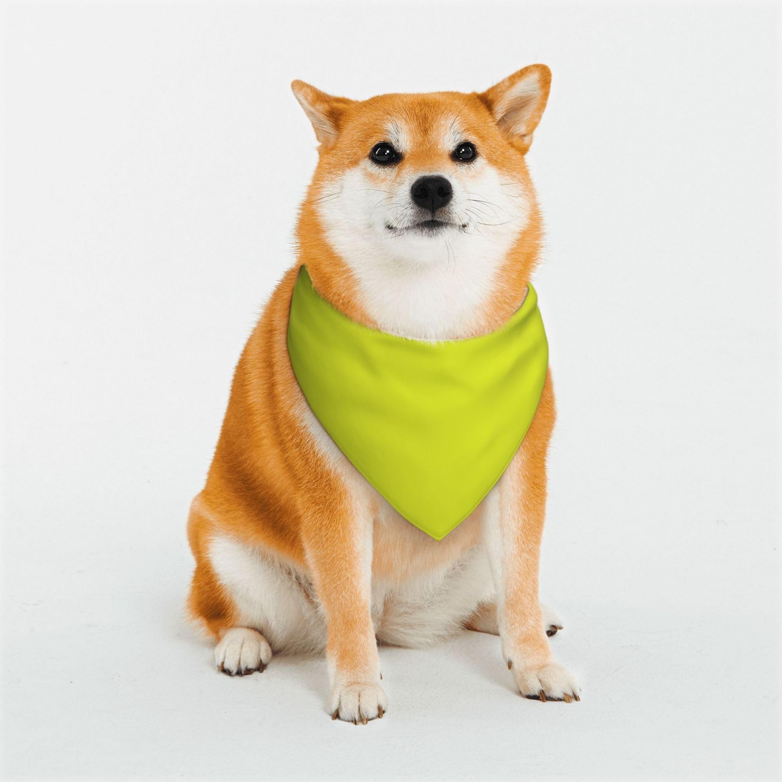 Yellow Dog Bandanas,Triangle Reversible Pet Scarf for Boy and Girl,Bandana for Small Medium Large and Extra Large Dogs Large