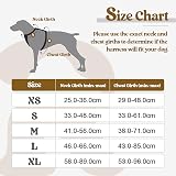 rabbitgoo Dog Harness Large Dog No Pull Pet Harness with 2 Leash Clips, Adjustable Soft Padded Pet Vest, Reflective No-Choke with Easy Control Handle for Training or Walking, Black, L - 2
