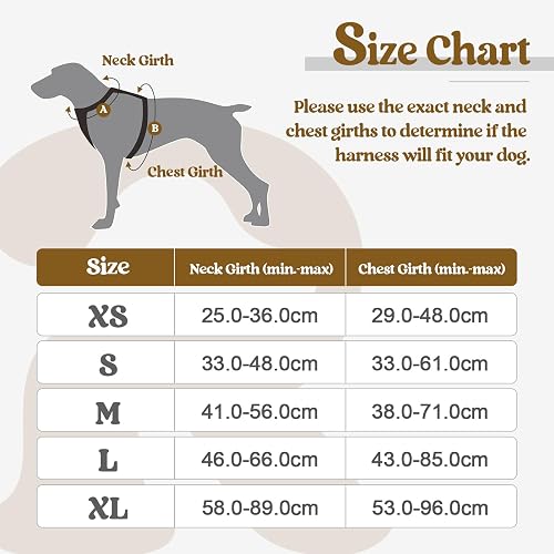 rabbitgoo Dog Harness Large Dog No Pull Pet Harness with 2 Leash Clips, Adjustable Soft Padded Pet Vest, Reflective No-Choke with Easy Control Handle for Training or Walking, Black, L - 2