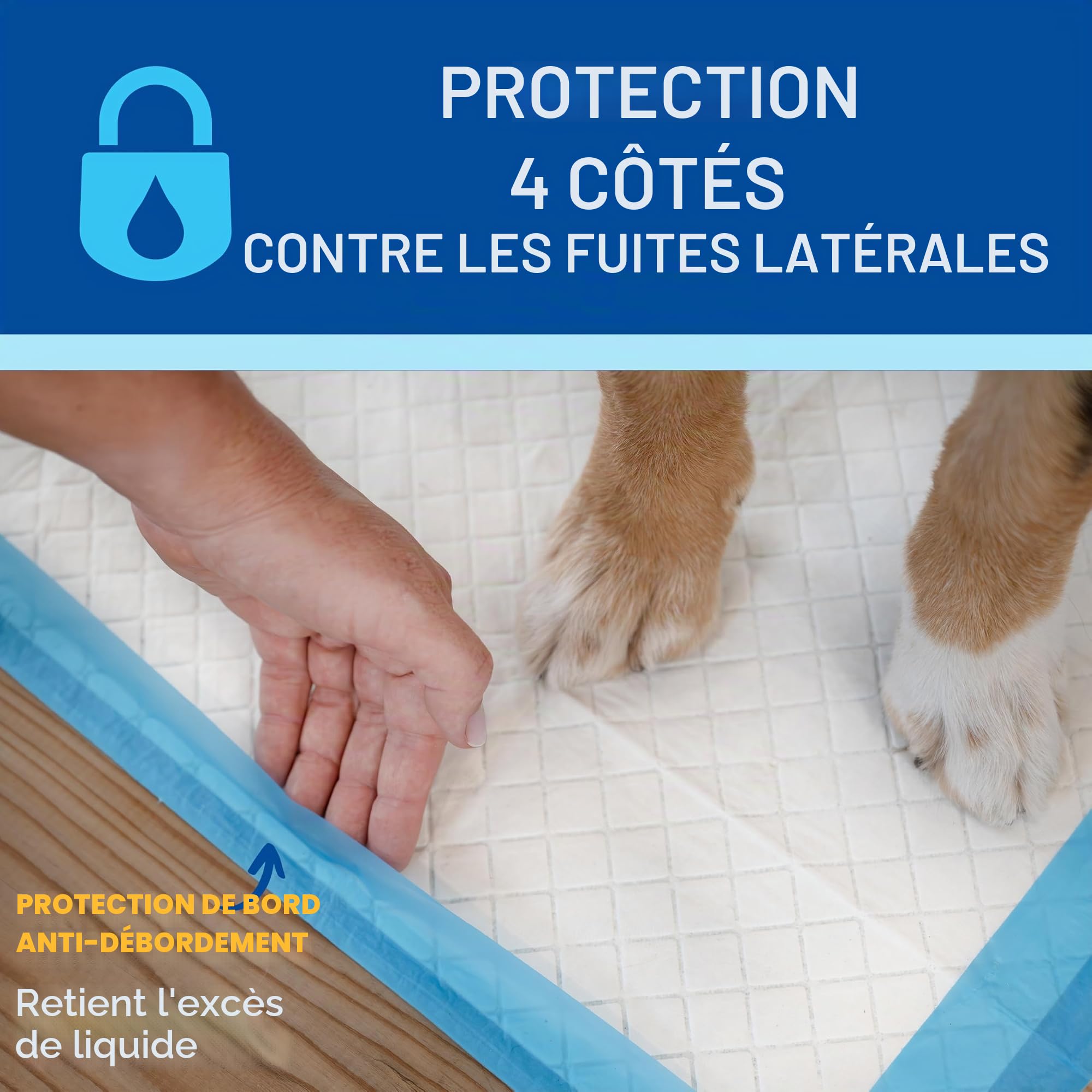 Four Paws Quatre Pattes Wee-Wee Extra Large Chien Housebreaking Coussinets