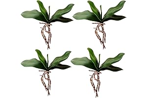 Artificial Green Phalaenopsis Simulation Orchid Leaf Real Latex Touch Decor
