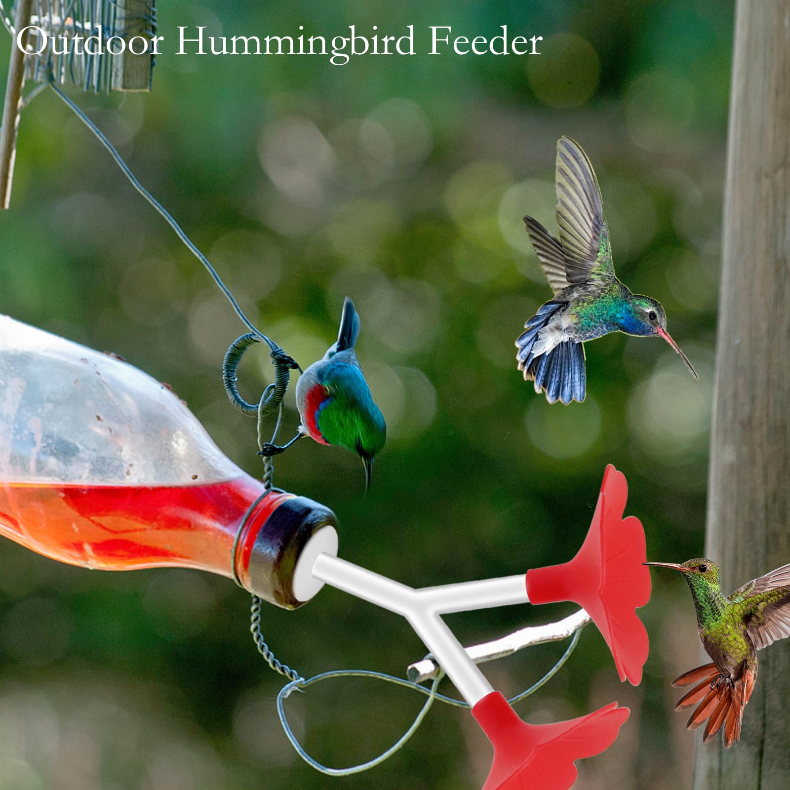 4 Pcs Floral Hummingbird Feeder Tubes and Stoppers, Red Double Head Feeding Ports Wine Bottle Plug - Image 3