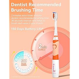 SEAGO Kids Electric Toothbrush with 2 Mins Brushing Timer and 4 Replacement Bursh Heads, Rainbow LED Light Make Brushing Fun, Boys Battery Powerd Toothbrush for 4-12 Years OldSG-977(Orange)