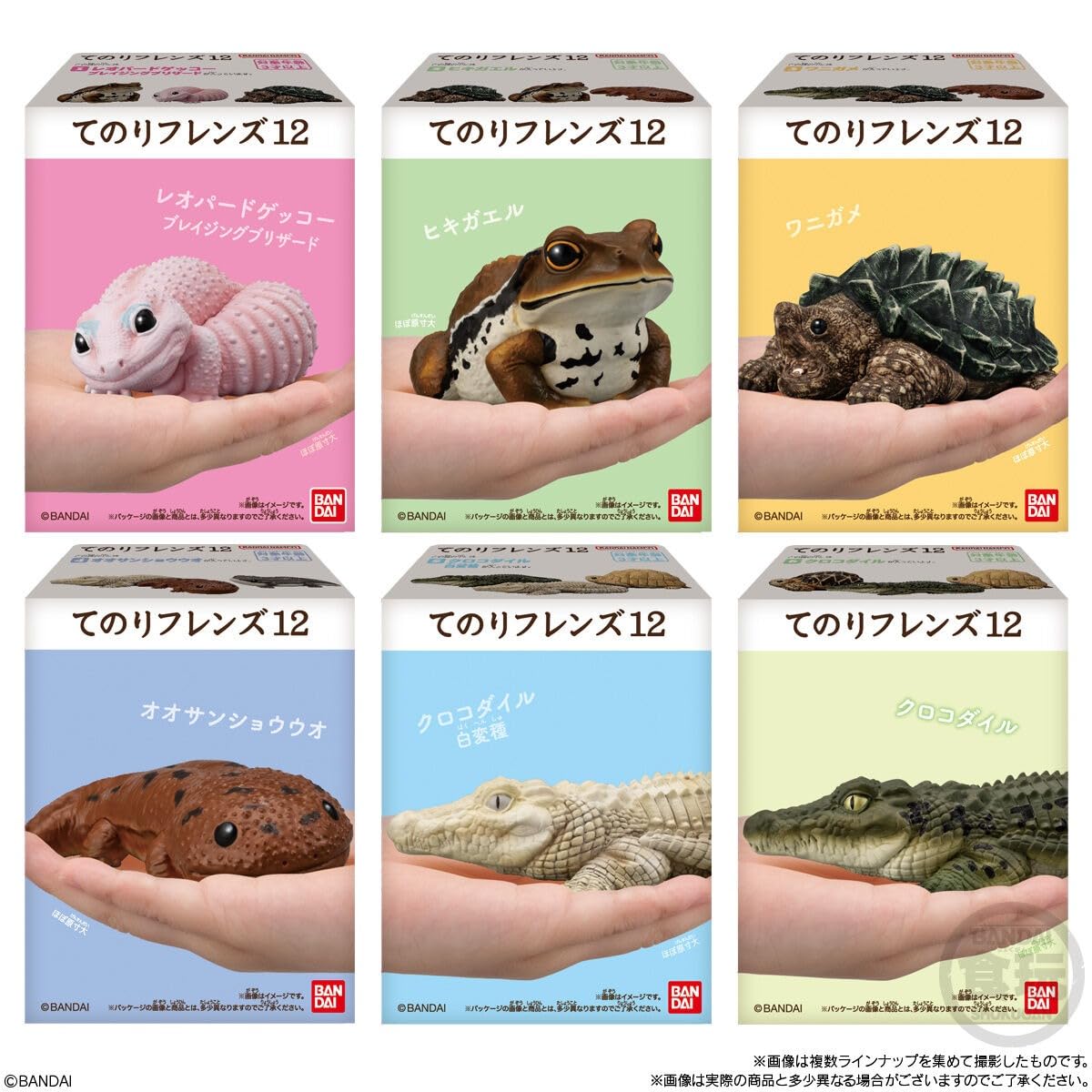 Amazon | てのりフレンズ12 -爬虫類・両生類- 12個入りBOX (食玩) 通販
