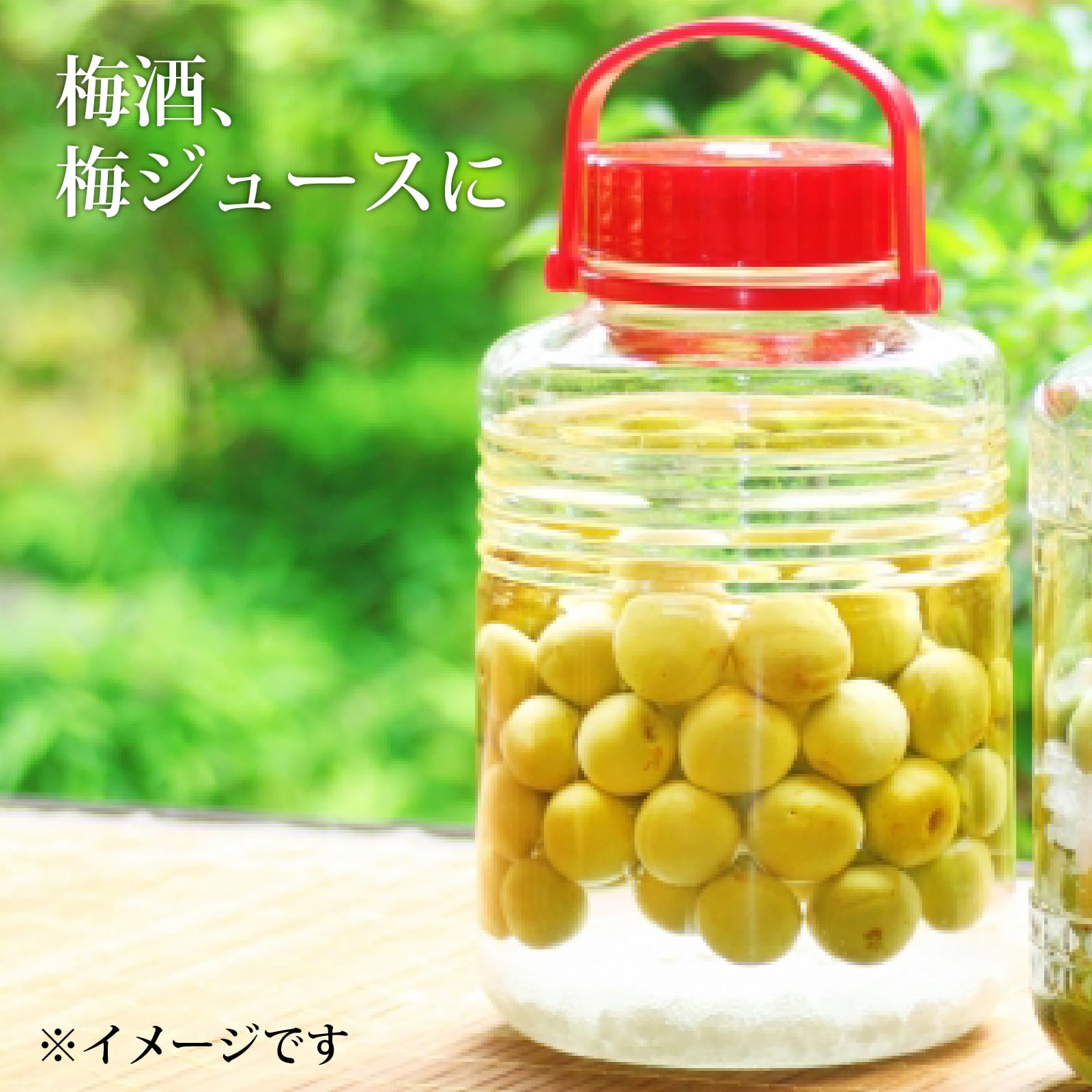 Amazon.co.jp: 青森の色梅[豊後梅ぶんごうめ]4L〜5Lサイズ混合 梅通販 
