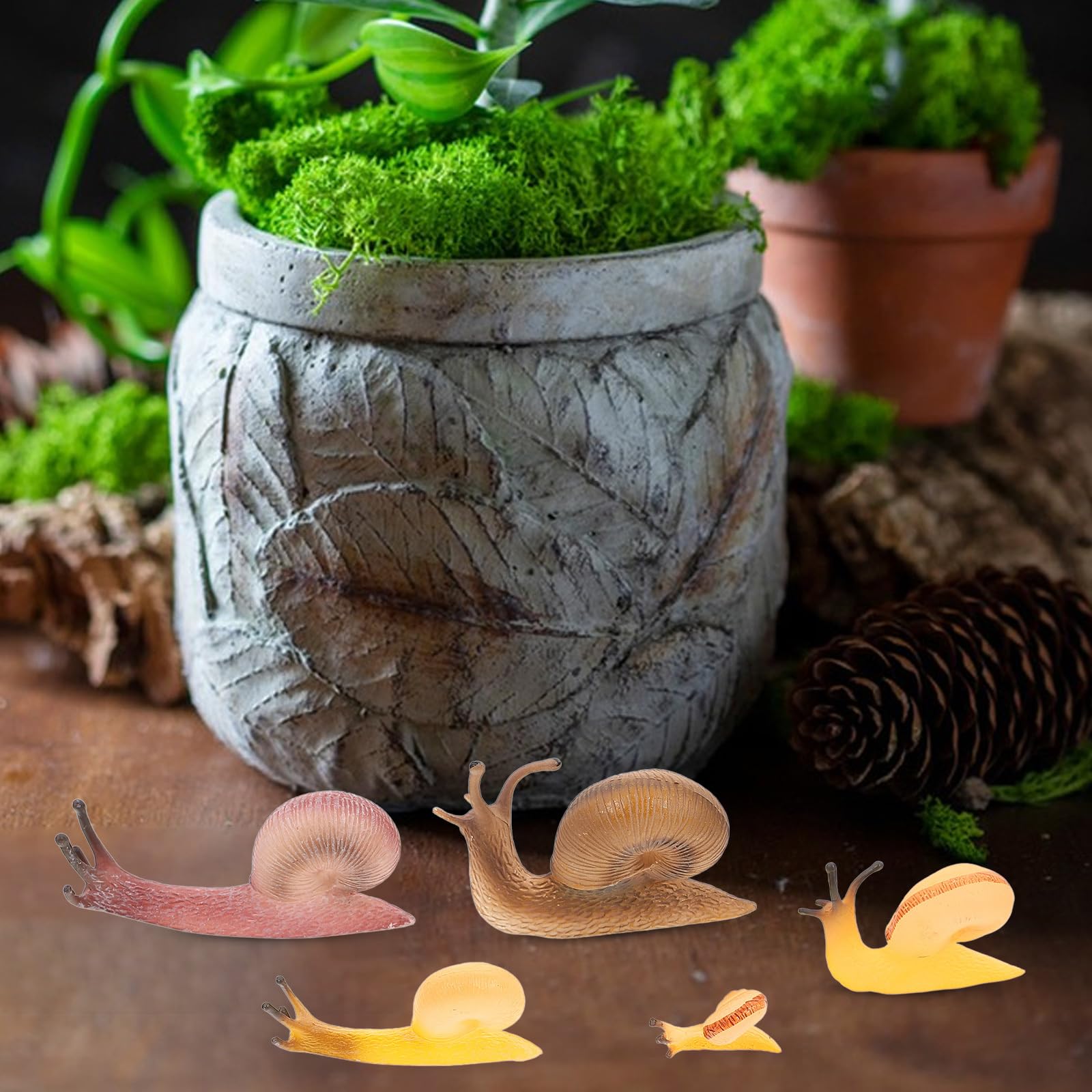 Alipis Realistic Snail Model Toy 5Pcs Set Simulation Snail Figures Educational Animal Figurines for Kids Fairy Garden Micro Landscape Decoration - Image 3