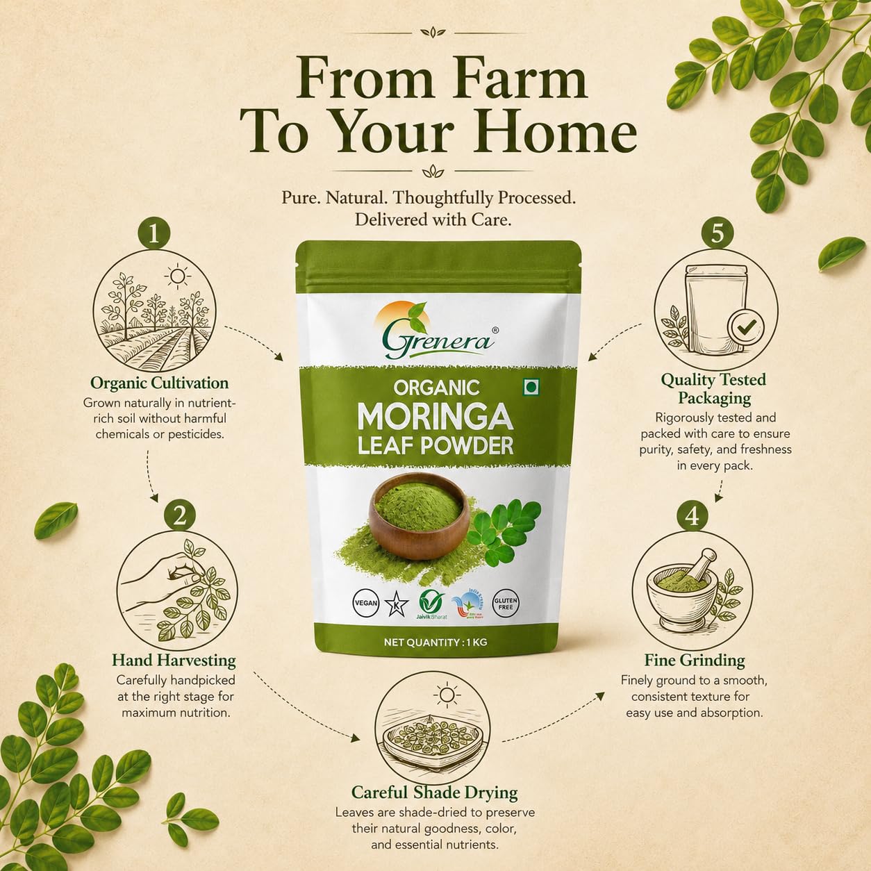Grenera Organic Moringa Leaf Powder 1 kg, Drumstick Leaf Powder, Pure Shigru for Healthy Life, Organic Certified, No Chemicals or Preservatives 3