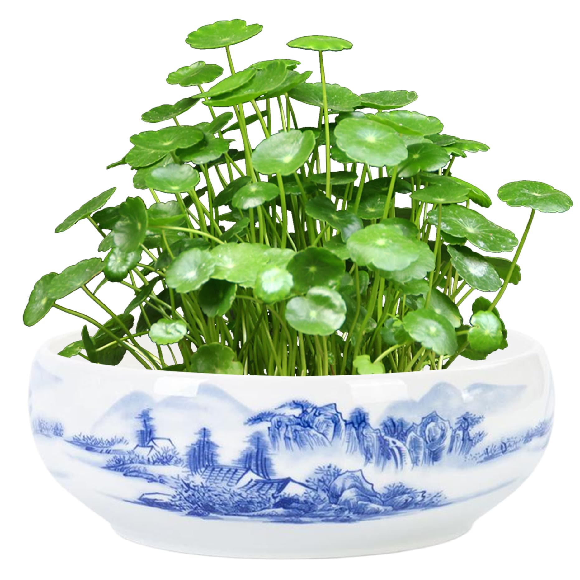 Pot de fleurs céramique Lotus Bowl 6.8x2.8 pouces à motif floral pour animaux et tasses