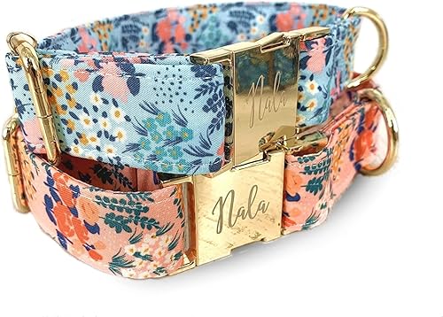 Collares de perro hechos a mano, grabado con láser, collar de perro ancho floral salvaje de verano, hebilla de liberación rápida, primavera,