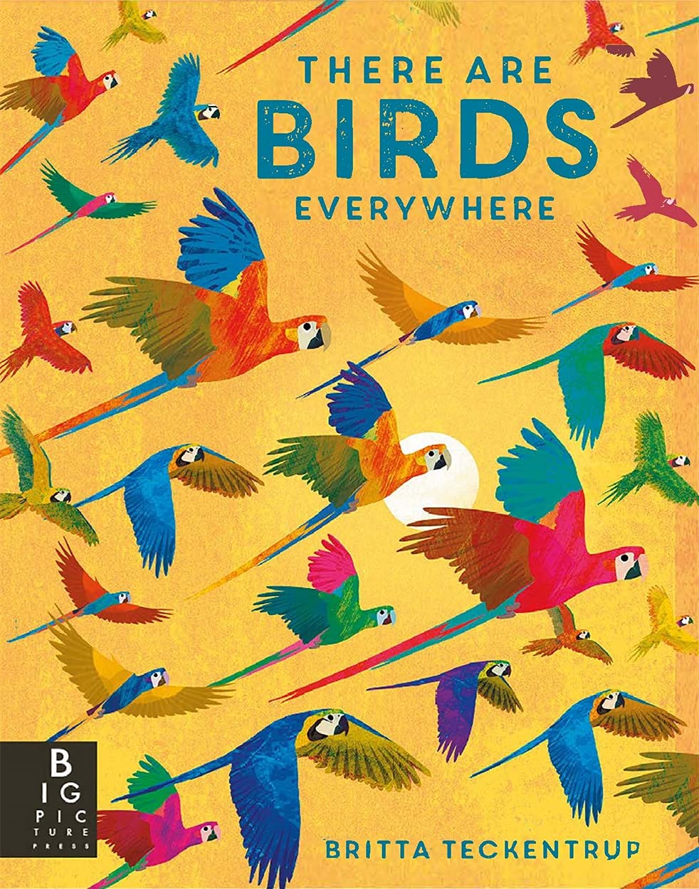 There are Birds Everywhere Bedoyere, Camilla De La 9781787417175