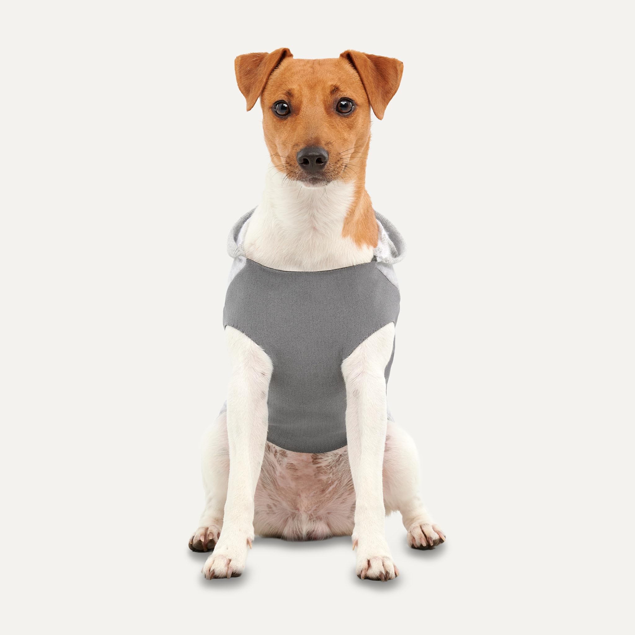 Felpa con cappuccio per cani in pile con canguro (grigio chiaro, XL)