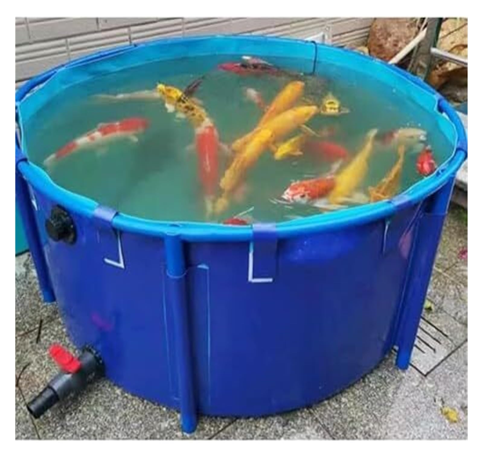 Generico Grande Vasca Portatile per Koi e Pesci Rossi - Laghetto in Tela 3x0,8 m con Telaio, rifugio Acquatico Ideale e Vasca di contenimento per Giardini Acquatici in Giardino