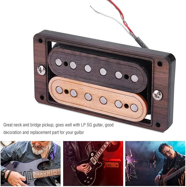 Amazon.co.jp_ マグネットピックアップ しっかり吸着 磁石 ギター用 ギターピックアップ 頑丈 + LP SG プラスチック 244g _ 楽器・音響機器