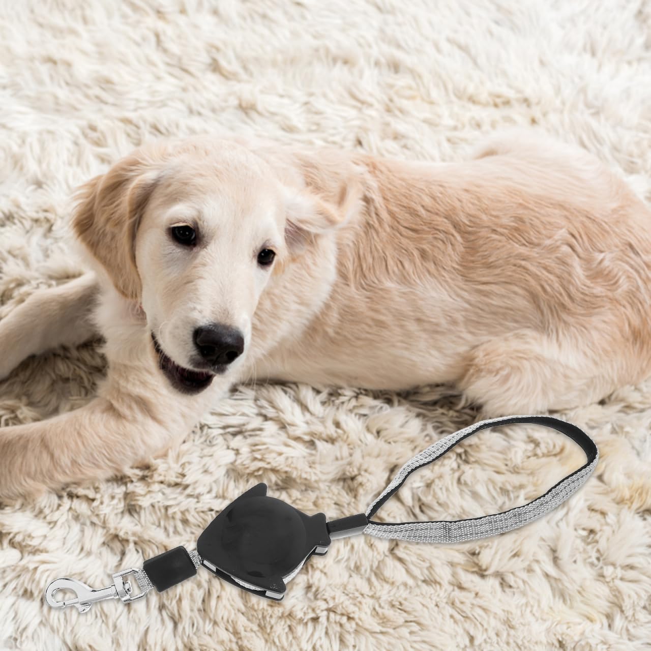Alipis Automatische Einziehbare Hundeleine Rollleine Für Hunde Welpen Und Katzen Teleskop-Zugseil Mit Ergonomischem Griff Einhandbedienung Größe L 1 X Teleskop-Zugseil