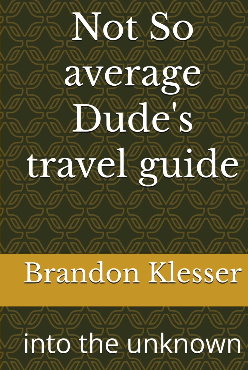 Not So average Dude's travel guide: into the unknown (A (Not So ) Series)