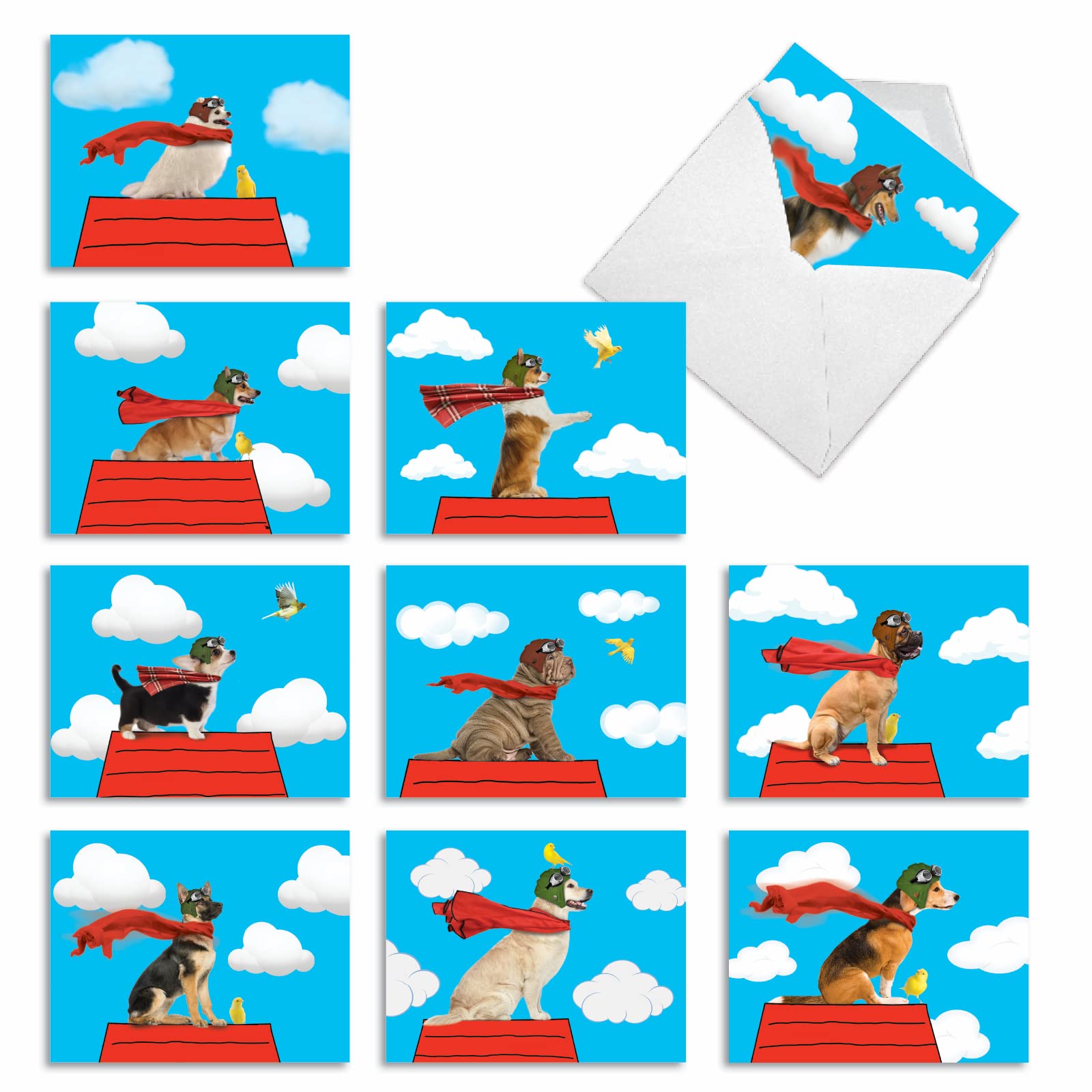 Carte thank you comique canines pour remercier vos proches après une fête - 8