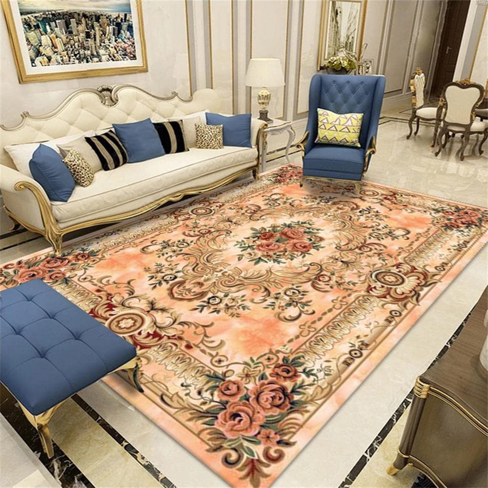 Moquette Sol Tapis Salon Grande Taille Tapis Rose Chaud Design d'impression Classique, Isolation phonique, Doux et Lavable 80X160CM Grand Salon