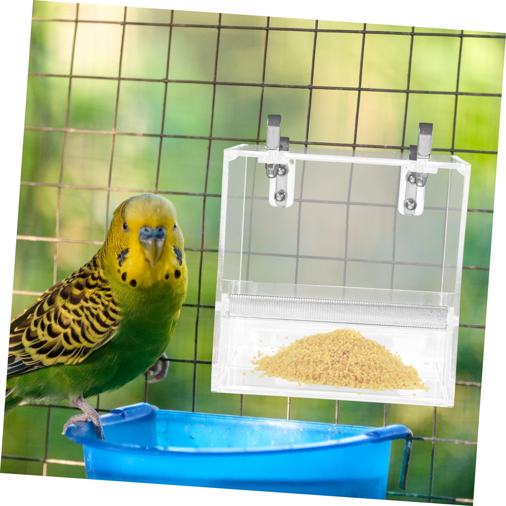 Parrot Feeder Automatischer Futterspender aus S Vogeltränke Futterstation für Papageien und Kleine Vögel Käfigzubehör Leicht zu Reinigen Montieren
