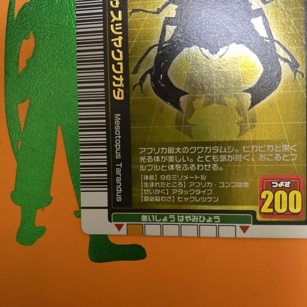 Amazon.co.jp: ムシキング タランドゥスツヤクワガタ : ホーム＆キッチン