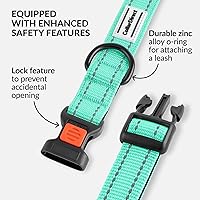 Vista 41 de CollarDirect Reflective Dog Collar for a Small, Medium, Large Dog or Puppy with a Quick Release Buckle - Boy and Girl - Nylon Suitable for Swimming
