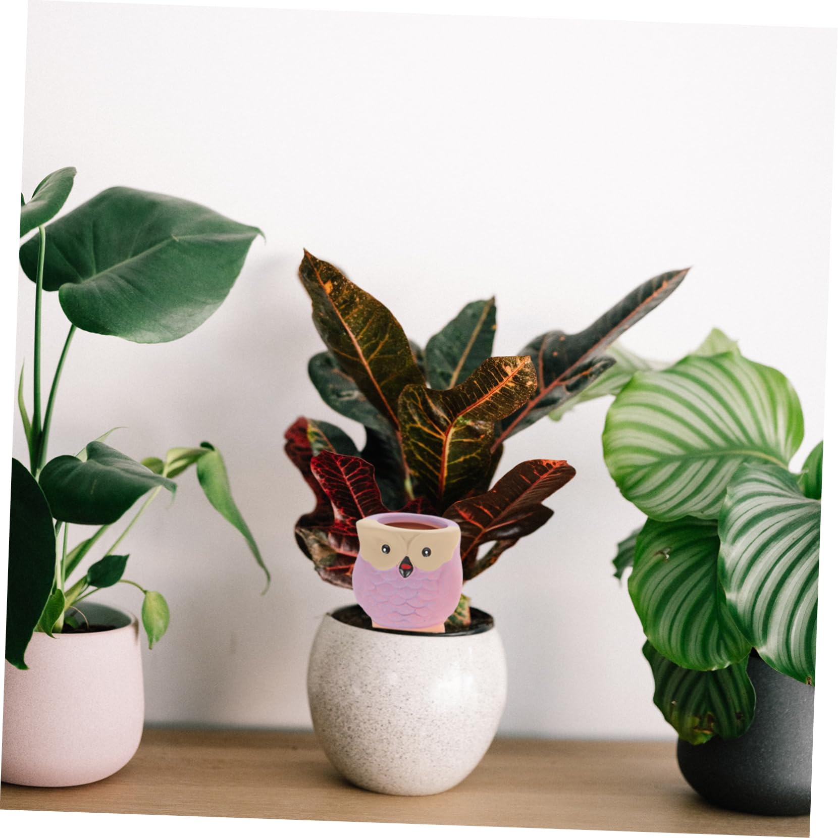 VICASKY Self Watering Plant Globes 4 Pack Decorative Watering Stakes for Gardening and Travel