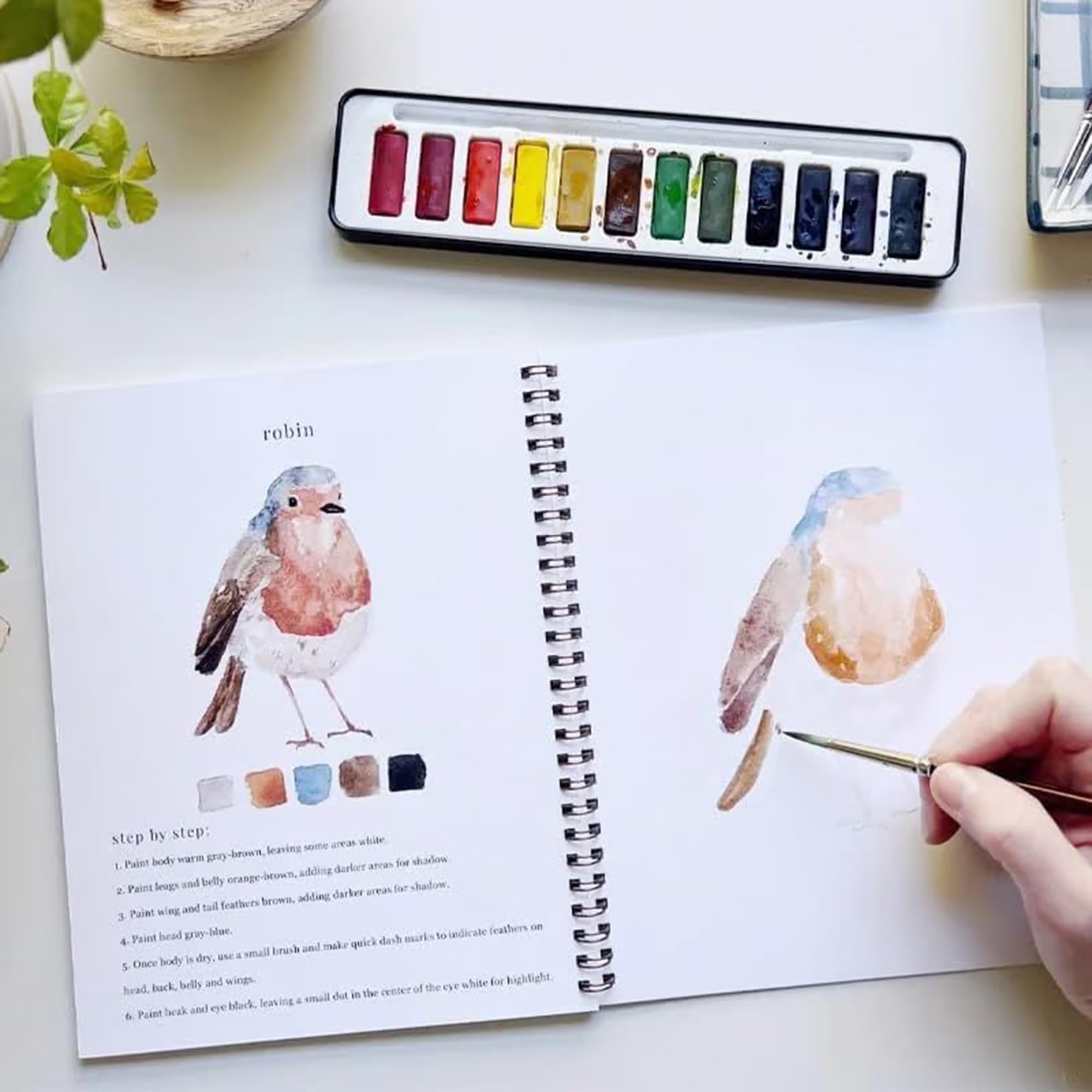 Cahier D'aquarelle Animaux Et Fleurs – 12 Couleurs + Pinceau – 32 Pages – Débutants – Format 23x17,5 Cm